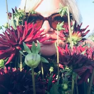 Meet your Posher, Donna